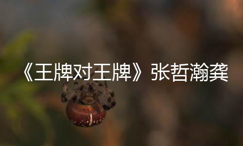 俊对王第几一期王王牌王牌期有张哲瀚在哪张哲龚俊牌对牌瀚龚