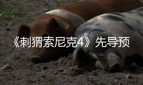 磅新角色尼克刺先导袭来预告猬索强势空降重