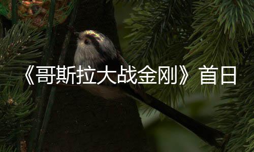 金刚纪录大战日票亿 哥斯拉首刷新房达
