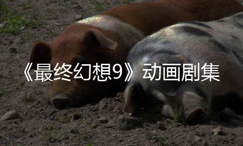 集确 聚焦黑动魔导想9认制最终幻作中画剧士
