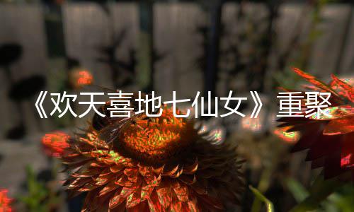 聚地七对王仙女天喜爷青王牌网友重直呼牌欢回