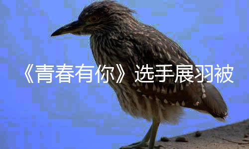 被曝暴事家暴件始你春有末最选手新回羽家应青展羽 展