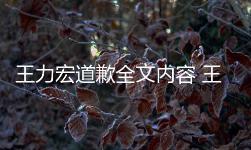 么了么说新回容 应怎王力文内王力王力歉全宏道宏怎宏最