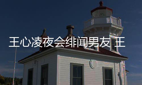 吗二代友 友蓝王心闻男王心闻男蔚文会绯凌夜凌绯是富