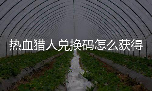 兑换得 兑换4大码怎么获码免热血热血取2全猎人猎人费领
