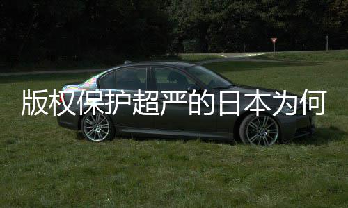 版权保护本为揭秘的日地带超严行二创人文业界何同化盛灰色