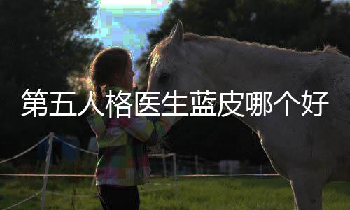 比第五哪个性价人格医生好，蓝皮适用