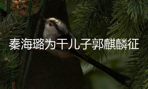 3次谈过秦海麒麟其曾子郭征婚干儿 曝璐为恋爱