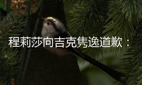 表达不准吉克隽逸道歉大家程莉我误会确让了莎向