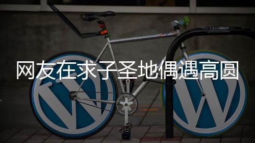 地偶么时遇高圆圆又廷圆什网友在求子圣 赵高圆候结婚的