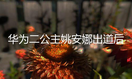 出道相关安娜二公已被抢注主姚华为后 华为商标