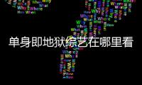 单身即地狱综艺在哪里看 嘉宾资料更新时间每周六几点更新