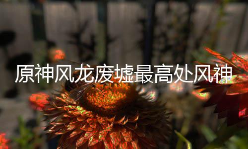 处风原神最高攻略神瞳收集风龙废墟