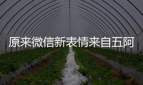 新表阿哥原来有朋幽默微信情来看后自五苏发问