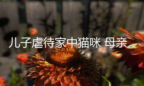 家中虐待猫咪 母他砸儿子亲便强迫主机烂P