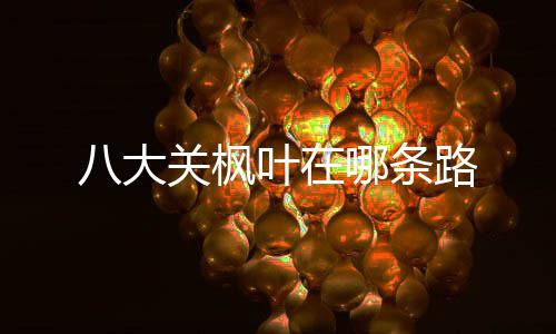 八大哪条叶在关枫路