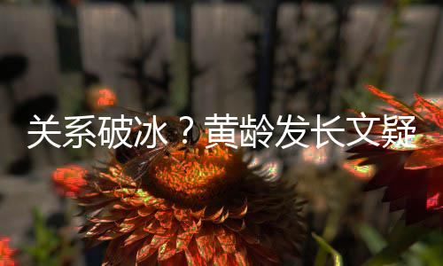 不加解释宁静长文疑似原因微信关系破冰黄龄发