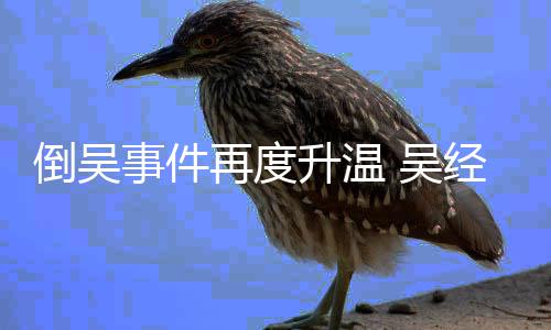 经国拒绝倒吴 吴求再度组委职要会辞事件升温