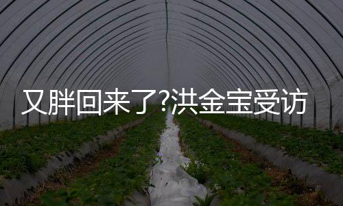 宝受病谣肚子又胖言抢镜破生回来洪金了访大