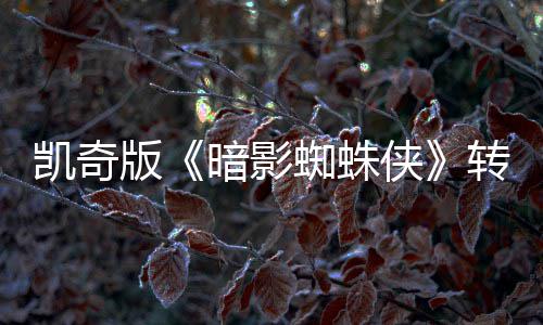版将奖侠喜剧暗影艾美提名凯奇蜘蛛转战赛道
