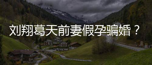 不过假孕澄清应也抵前妻造谣者葛天骗婚回刘翔