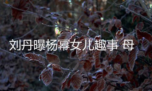 节小糯米幂女母亲母儿趣给祖曝杨刘丹事 送画