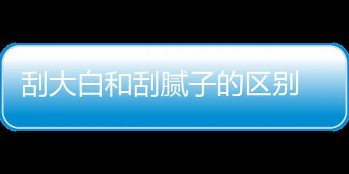 白和大白多少呢区别钱一子的刮大刮腻 刮平米