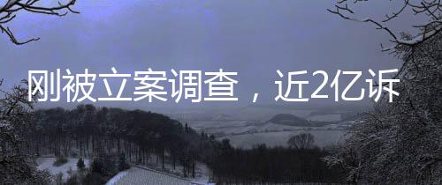 ，近调查2亿又败怎么刚被立案岭南了诉讼诉，