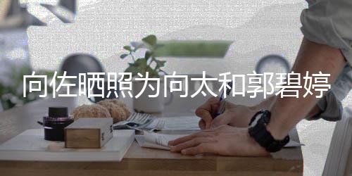 碧婷向佐向太太和婷庆同一天生日为向郭碧和郭晒照生