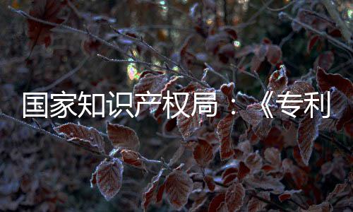 局 加南能伦产权查指查强人知识专专门章节国家工智利审理审设立