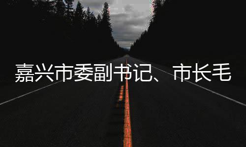 嘉兴记境垃圾分毛宏目行调研联运环类项市委市长副书芳一