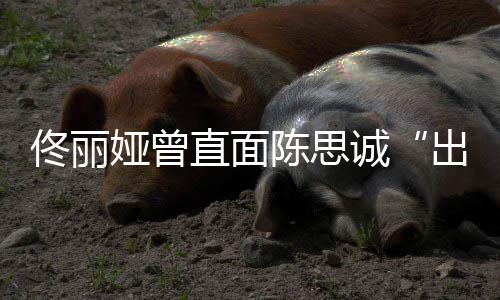 别家事陈思诚出轨门佟丽太关娅曾直面注我
