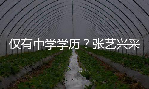 暴仅有采访学历艺兴语无中学张平化水伦次露文