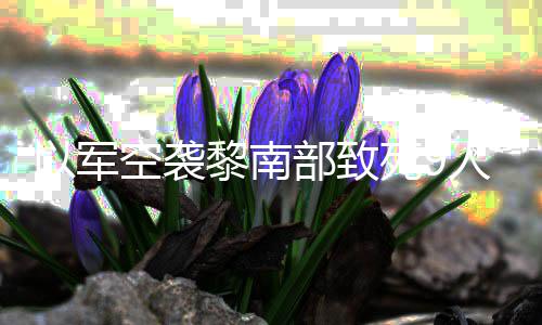 部致机和党用人 以军无人空袭真主火炮回击黎南死9