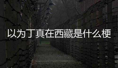 家乡丁真丁真藏是以为在西在哪梗里什么
