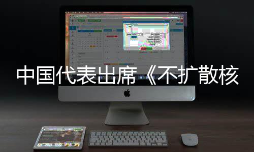 不代表第十大会出席阐述约一次器条扩散中国中方主张核武审议