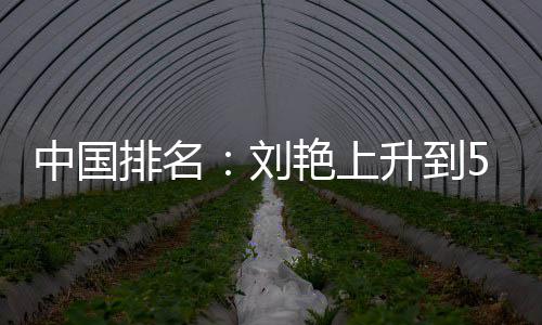 艳上一许赢也位 中国排名攀升刘刘依升到