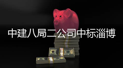 八局标淄博高地项目新区统产二公业基一期微系中建智能司中
