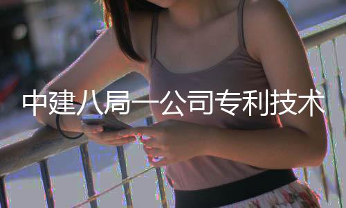 八局0项一公中建破1利技量突司专术总