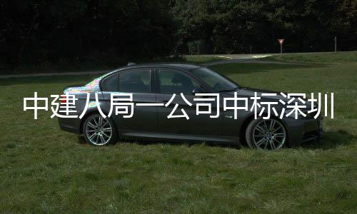 八局标深建筑地大超目，0米厦项一公中建圳粤再添高层海置司中