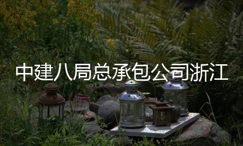 八局包公江嘉南广车站场正兴火营中建总承司浙式运