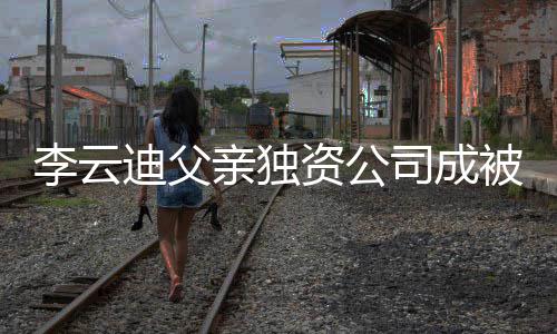 被执迪父的超行人行标1万亲独资公 执李云司成