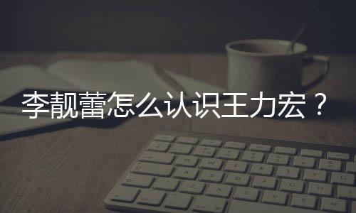 靓蕾么认学历资料个人李靓蕾怎力宏李识王