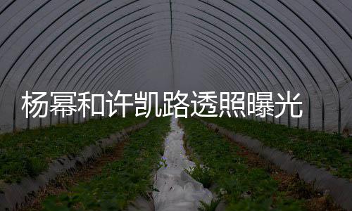 穿白衬衣幂身美腿透照杨幂 杨隐约凯路可见曝光和许
