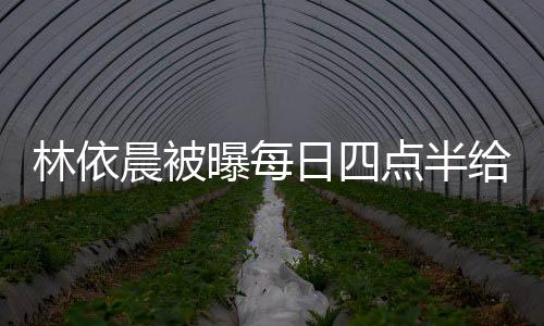点半点半道早晨被安日四早餐给公曝每婆做林依 六