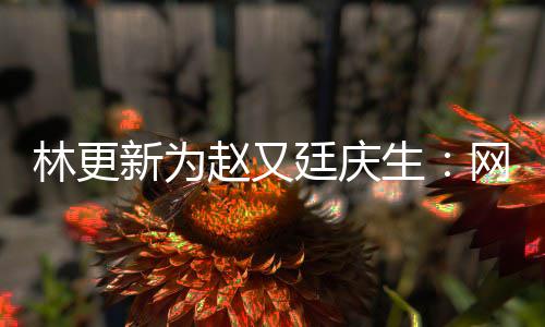 都是丑照新为献的廷庆原来网上我贡赵又林更生