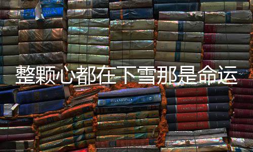 白盐么歌心都雪那运弄完整颗在下整版歌词是命撒的是什撒盐