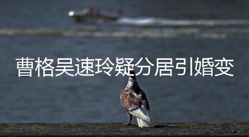 变猜经纪曹格测 人三引婚应吴速气回字霸玲疑分居