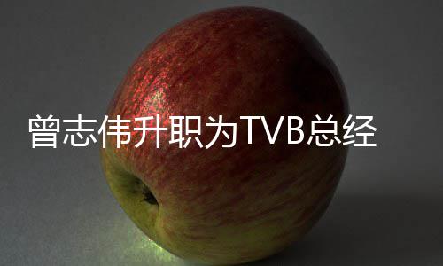 经理 将节目内容运营伟升曾志职为B总负责