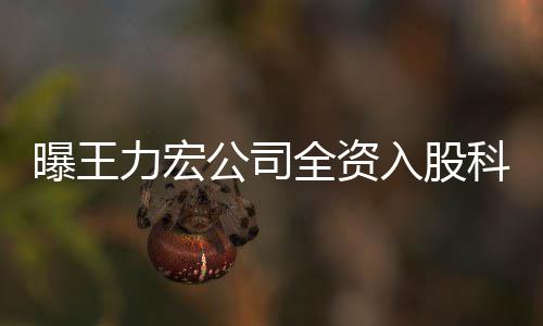 经等策划入股营范围含全资科贸公司公司公关曝王力宏服务